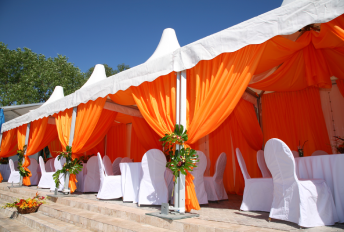 renta de plantas d eluz para eventos